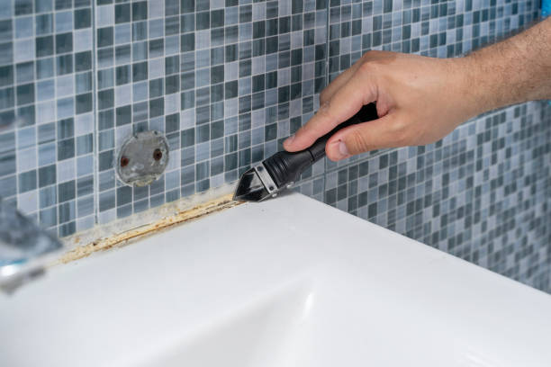 Best Mold Remediation for Schools in Cudjoe Key, FL
